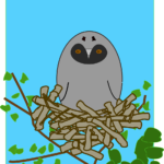 bird nest