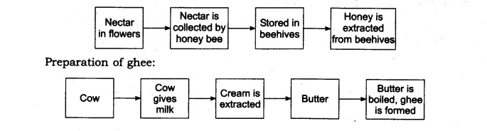 Food: Where Does it Come From? – The MindPalace Academy of Learning