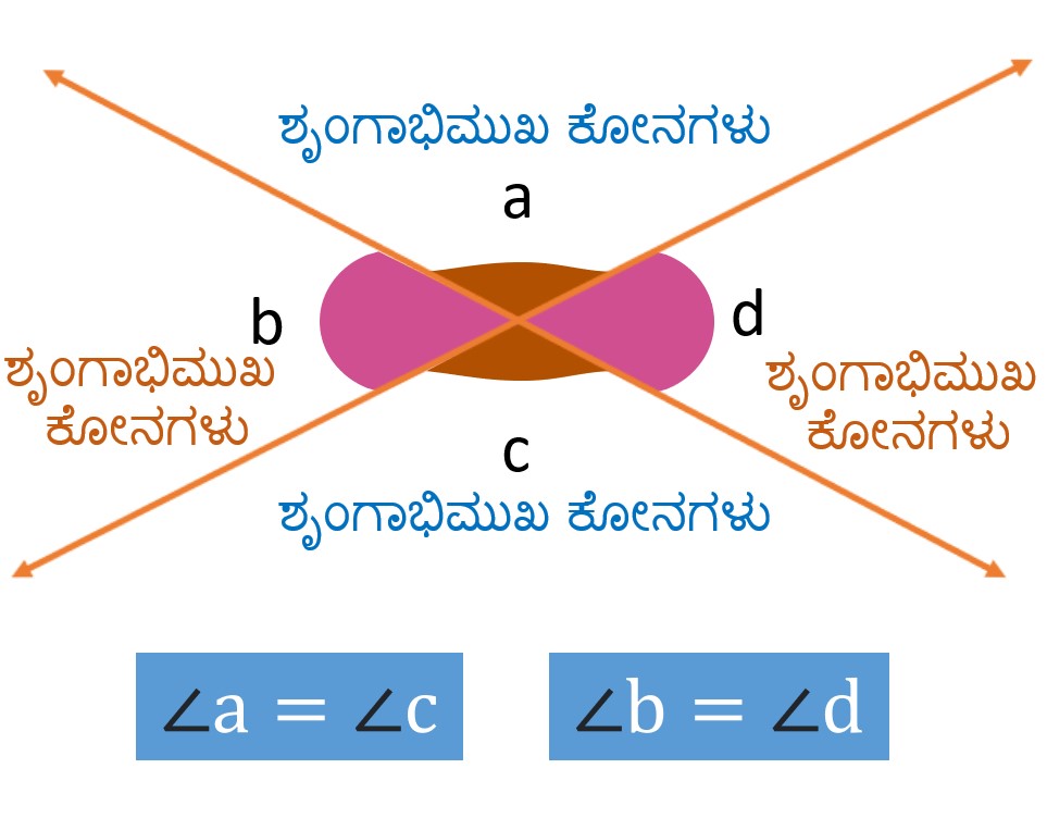 ಶೃಂಗಾಭಿಮುಖ ಕೋನಗಳು