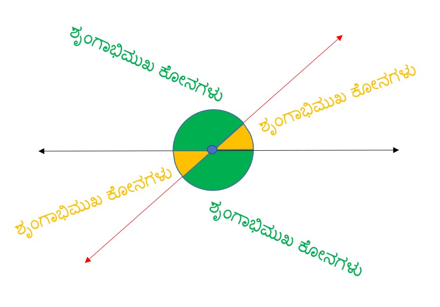 ಶೃಂಗಾಭಿಮುಖ ಕೋನಗಳು