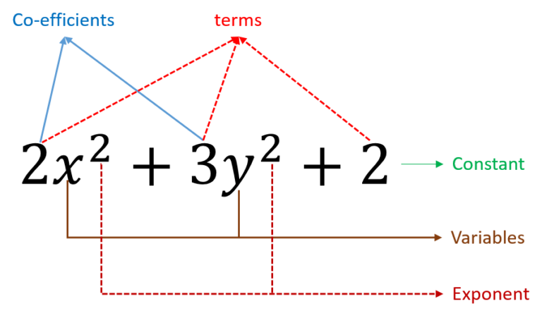 Polynomials The Mindpalace Academy Of Learning