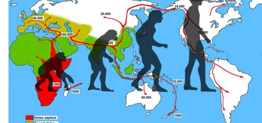 ಆಫ್ರಿಕಾದಲ್ಲಿ ಮಾನವ ಆರಂಭಗಳು